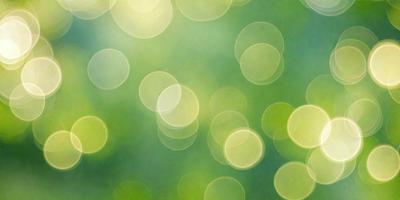 The primary subject of the image is a close-up of a green field with a bright, sunny atmosphere. The setting is a lush, green environment, and the visual style is a natural, outdoor scene. The colors and mood are predominantly green, with a hint of yellow, creating a serene and peaceful ambiance.