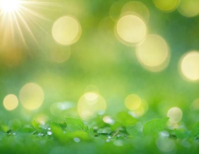 The primary subject of the image is a close-up of a green leaf, possibly a tree leaf, with a bright green background. The leaf is surrounded by a variety of bright green lights, creating a visually appealing and lively atmosphere. The visual style of the image is a close-up of the leaf, with the background being a bright green color. The colors and mood of the image are predominantly green, giving it a fresh and vibrant feel.