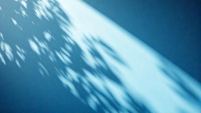The primary subject of the image is a tree with a shadow cast on a wall. The setting is an outdoor environment, with the tree and the wall being the main objects in the scene. The visual style appears to be a photo, capturing the natural light and shadows of the tree. The colors in the image are predominantly blue, creating a calm and serene atmosphere.