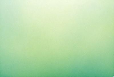 The primary subject of the image is a large, bright green wall. The setting is a room with a green background, which creates a vibrant and lively atmosphere. The visual style is a close-up of the green wall, showcasing its color and texture. The dominant colors and overall mood of the image are energetic and fresh.