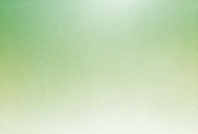 The primary subject of the image is a large, empty, and brightly lit room. The room is filled with a bright green color, creating a lively and vibrant atmosphere. The setting is a large, open space with no visible furniture or objects, giving the room a clean and minimalistic appearance. The visual style of the image is a photo, capturing the room's emptiness and vibrant color.