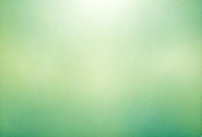 The primary subject of the image is a green background. The setting is a plain, empty space with no visible objects or people. The visual style is a photo, and the colors and mood are predominantly green, creating a calm and serene atmosphere.