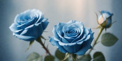The primary subject of the image is a pair of blue flowers, which are the main focus of the scene. The flowers are placed against a gray background, which adds a sense of depth and contrast to the image. The visual style of the image is a close-up of the flowers, showcasing their details and beauty. The dominant colors in the image are blue and gray, creating a calm and serene atmosphere.