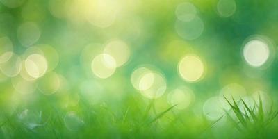 The image features a lush green field with a bright, sunny atmosphere. The primary subject is the grass, which is the main focus of the image. The setting is an outdoor environment, with the grass being the primary background. The visual style is a photo, capturing the natural beauty of the grass in a sunny, outdoor setting. The colors and mood are predominantly green, with a bright and cheerful ambiance.