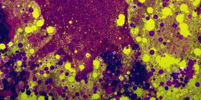 The image features a purple and yellow background with a mix of purple and yellow dots. The primary subject is a close-up of a purple and yellow dot pattern, which creates a visually striking and vibrant scene. The setting appears to be a digital art or illustration, as the colors and patterns are well-defined and the overall atmosphere is lively and engaging.