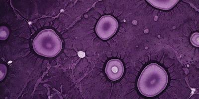 The image features a purple background with a pattern of round, purple objects. These objects are arranged in a circular pattern, creating a visually appealing and unique design. The overall atmosphere of the image is vibrant and eye-catching, with the purple objects standing out against the purple background.