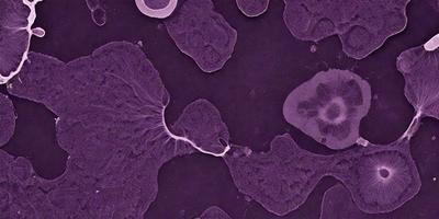 The primary subject of the image is a purple background with a large, curved, and wavy shape. The setting appears to be a dark, purple-toned environment. The visual style of the image is a combination of a photo and a digital artwork, creating a unique and intriguing appearance. The colors and mood of the image are predominantly purple, giving it a moody and mysterious atmosphere.