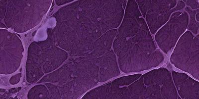 The image is a purple and black digital art piece featuring a close-up of a purple and black pattern. The pattern is composed of various shapes and lines, creating a visually intriguing and unique design. The overall atmosphere of the image is dark and moody, with the purple and black color scheme adding to the dramatic and mysterious feel of the artwork.