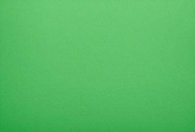 The primary subject of the image is a large, bright green background. The setting is a plain, empty space with no visible objects or people. The visual style is a close-up of the green background, which creates a sense of depth and focus. The colors and mood of the image are predominantly green, giving it a calm and serene atmosphere.