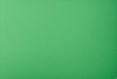 The primary subject of the image is a large, green wall. The setting is a plain, empty room with no other objects or people visible. The visual style is a close-up of the green wall, which gives a sense of depth and texture to the image. The colors and mood are predominantly green, creating a calm and serene atmosphere.
