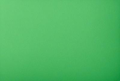 The primary subject of the image is a large, bright green wall. The setting is a plain, empty room with no other objects or people visible. The visual style is a close-up of the green wall, which gives a sense of depth and texture to the image. The colors and mood are predominantly green, creating a calm and serene atmosphere.