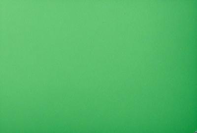 The primary subject of the image is a large, bright green background. The setting is a plain, empty space with no visible objects or people. The visual style is a close-up of the green background, which creates a sense of depth and focus. The colors and mood of the image are predominantly green, giving it a calm and serene atmosphere.