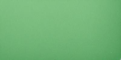 The primary subject of the image is a large, green wall. The setting is a plain, empty room with no other objects or people visible. The visual style is a close-up of the green wall, which gives a sense of depth and texture to the image. The colors and mood are predominantly green, creating a calm and serene atmosphere.