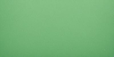 The primary subject of the image is a large, green sheet of paper. The setting is a plain, white background, and the visual style is a close-up of the green paper. The colors and mood of the image are predominantly green, creating a calm and serene atmosphere.