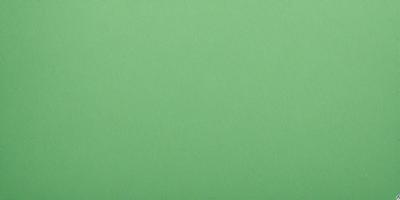 The primary subject of the image is a large, green wall. The setting is a plain, empty room with no other objects or people visible. The visual style is a close-up of the green wall, which gives a sense of depth and texture to the image. The colors and mood are predominantly green, creating a calm and serene atmosphere.