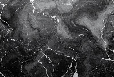 The primary subject of the image is a marble surface with a pattern of swirls and lines. The setting is a black and white photo, which gives the image a classic and timeless appearance. The visual style is a close-up of the marble surface, showcasing the intricate details of the swirls and lines. The colors and mood of the image are predominantly black and white, creating a sense of elegance and sophistication.