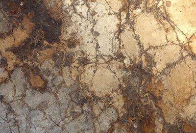 The primary subject of the image is a close-up of a stone wall with a variety of textures and colors. The setting is a stone wall, and the visual style appears to be a photo. The colors and mood of the image are diverse, with a mix of light and dark tones, creating a unique and intriguing appearance.