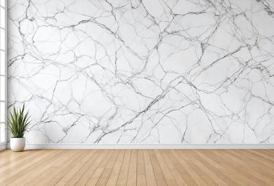 The primary subject of the image is a marble wall with a white background. The setting is a room with a wooden floor. The visual style is a photo of a marble wall, showcasing the natural texture and patterns of the material. The colors and mood of the image are predominantly white and neutral, creating a clean and elegant atmosphere.