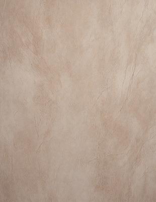 The primary subject of the image is a wall with a tan color. The setting is a room with a plain wall, and the visual style is a photo. The colors and mood of the image are warm and neutral, creating a calm and inviting atmosphere.
