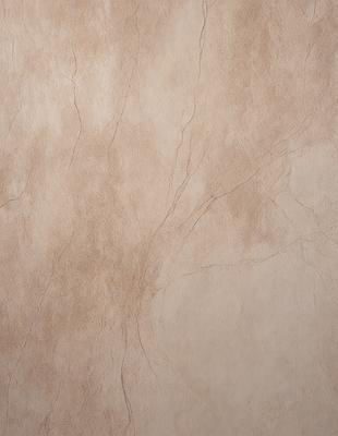 The primary subject of the image is a wall with a brown and white color scheme. The setting is a room with a brown and white wall, and the visual style is a close-up of the wall. The colors and mood of the image are warm and earthy, with a focus on the natural texture of the wall.