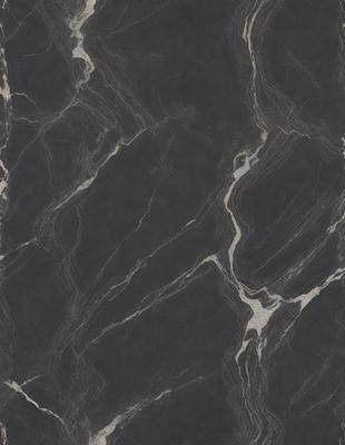 The image features a black marble countertop with a patterned design. The countertop appears to be made of granite, and it has a unique, intricate pattern. The overall atmosphere of the image is elegant and sophisticated, with the marble countertop serving as the primary subject.