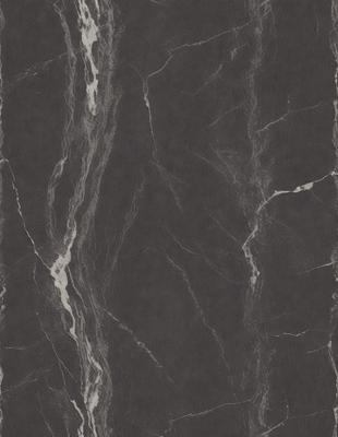 The image features a black and white marble wall with a pattern of white veins. The wall appears to be a part of a building, possibly a bathroom or a kitchen. The overall atmosphere of the image is elegant and sophisticated, with the marble wall serving as a striking focal point.