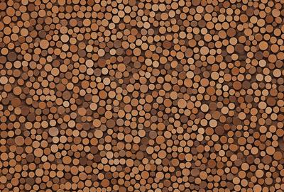 The primary subject of the image is a close-up of a wooden surface with a pattern of circles. The setting is a wooden floor, and the visual style is a photo. The dominant colors are brown and orange, creating a warm and natural atmosphere.