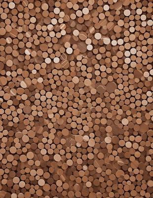 The primary subject of the image is a close-up of a wooden surface with numerous small circles or burrs on it. The setting appears to be a room with a wooden floor. The visual style of the image is a close-up of the wooden surface, which gives a sense of texture and detail. The colors in the image are predominantly brown, which adds to the warm and natural atmosphere of the scene.