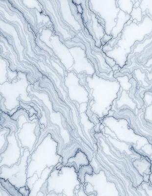 The primary subject of the image is a marble wall with a white and grey color scheme. The setting is a room with a marble floor, and the visual style is a close-up of the marble wall. The colors and mood of the image are elegant and sophisticated, with the marble wall and floor creating a luxurious and refined atmosphere.