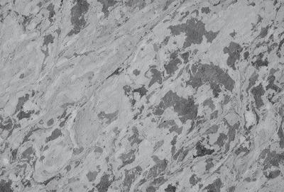The primary subject of the image is a close-up of a marble surface, showcasing its intricate patterns and textures. The setting is a stone wall, which adds to the natural and earthy atmosphere of the scene. The visual style is a close-up, emphasizing the details of the marble surface. The colors and mood of the image are predominantly grays and browns, giving it a calm and sophisticated appearance.