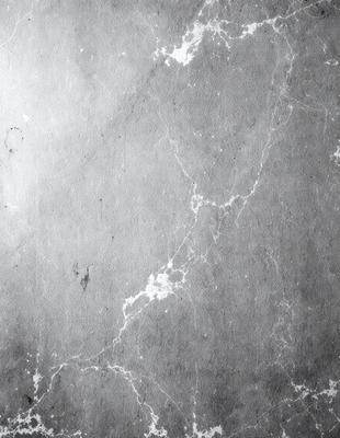 The primary subject of the image is a marble wall with a patterned texture. The setting is a room with a gray background. The visual style is a black and white photo, which adds a classic and timeless feel to the image. The dominant colors are gray and black, creating a moody and sophisticated atmosphere.