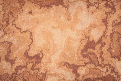The primary subject of the image is a brown and tan patterned wall. The setting is a room with a brown and tan patterned wall. The visual style is a close-up of the wall, showcasing the intricate pattern. The colors and mood of the image are warm and earthy, with a sense of texture and depth.