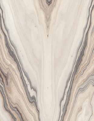 The primary subject of the image is a wooden surface with a unique and intricate pattern. The setting is a close-up view of the wooden surface, showcasing the details of the pattern. The visual style is a close-up of the wooden surface, which gives a sense of depth and texture. The colors and mood of the image are predominantly earthy tones, creating a natural and organic atmosphere.