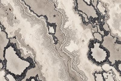 The image features a patterned surface with a mix of black and white colors. The primary subject is a close-up of the pattern, which appears to be a combination of a rocky texture and a mosaic design. The setting is a stone or concrete surface, possibly a wall or floor. The visual style is a close-up of the pattern, showcasing the intricate details of the design. The colors and mood of the image are a combination of black and white, giving it a classic and timeless appearance.