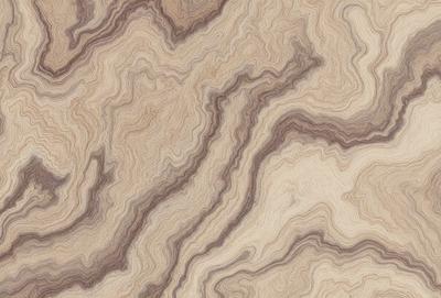 The primary subject of the image is a close-up of a wooden surface, possibly a table or a piece of wood. The setting is a room with a wooden floor, and the visual style appears to be a close-up of the wooden surface. The colors and mood of the image are predominantly brown and earthy tones, giving it a natural and warm atmosphere.