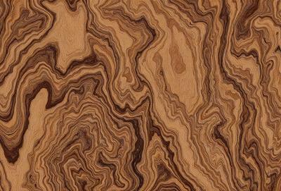 The primary subject of the image is a close-up of a wooden surface, possibly a table or a piece of wood. The setting is indoors, with the wooden surface being the main focus of the image. The visual style appears to be a close-up of the wooden surface, possibly a photo or a digital art piece. The colors and mood of the image are predominantly brown and earthy, giving it a natural and warm atmosphere.