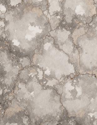 The primary subject of the image is a close-up of a concrete wall with a pattern of white and grey spots. The setting is an outdoor environment, and the visual style appears to be a photo. The colors and mood of the image are predominantly grey and white, giving it a somewhat dull and monotonous appearance.