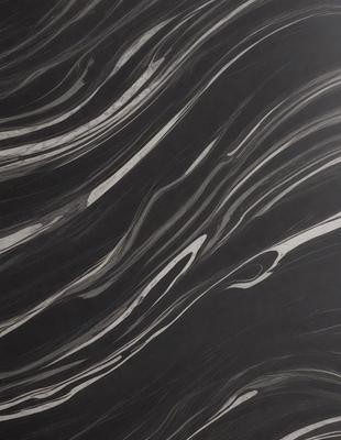 The primary subject of the image is a black and white pattern, which appears to be a painting or drawing. The setting is a black background, and the visual style is a combination of artistic elements and textures. The colors and mood of the image are predominantly dark and moody, with the black and white pattern creating a dramatic and striking effect.