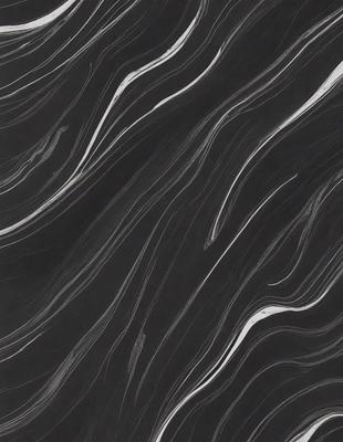 The primary subject of the image is a black and white patterned surface, which appears to be a marble or stone texture. The setting is a dark background, which contrasts with the patterned surface. The visual style is a close-up of the pattern, showcasing the intricate details of the design. The colors and mood of the image are predominantly dark, with the black and white pattern creating a sense of depth and contrast.