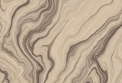 The primary subject of the image is a wooden surface with a unique and intricate pattern. The setting is a close-up view of the wooden surface, showcasing the detailed design. The visual style is a close-up of the wooden surface, which gives a sense of depth and texture. The colors and mood of the image are predominantly brown and earthy tones, creating a warm and natural atmosphere.