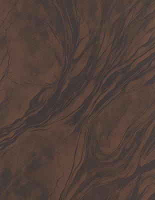 The primary subject of the image is a brown, textured surface with a pattern of swirls and curves. The setting is a close-up of the surface, showcasing the intricate design. The visual style is a combination of a photo and a digital art, as the swirls and curves are both natural and man-made. The colors and mood of the image are warm and earthy, with the brown tones creating a sense of depth and texture.