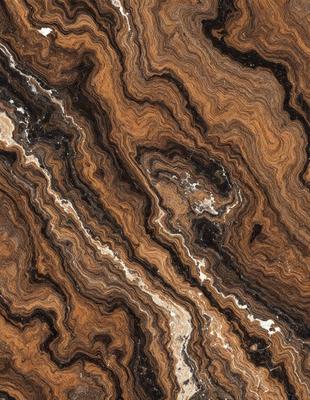 The primary subject of the image is a close-up of a marble stone with a unique and intricate pattern. The setting is a natural environment, with the stone being the main focus of the scene. The visual style is a close-up of the marble, showcasing its texture and details. The colors and mood of the image are predominantly earthy tones, giving it a natural and timeless appearance.