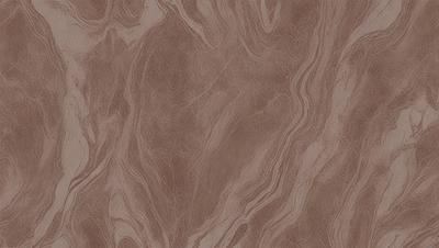 The primary subject of the image is a brown marble-like surface with a patterned texture. The setting is a room with a brown and white marble wall, which adds to the overall atmosphere. The visual style is a close-up of the marble wall, showcasing the intricate pattern and texture. The colors and mood of the image are warm and earthy, with the brown marble and white pattern creating a sense of natural beauty and elegance.