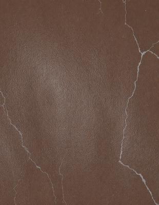 The primary subject of the image is a close-up of a brown leather surface. The setting is a wall with visible cracks, giving the impression of a worn or aged surface. The visual style is a close-up of the leather, which appears to be a leather wall or a leather-like material. The colors and mood of the image are dominated by the brown tones of the leather and the cracks, creating a sense of texture and depth.