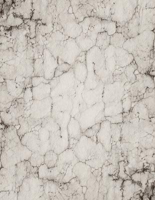 The primary subject of the image is a marble-like surface with a white and grey color scheme. The setting is a close-up of the marble, showcasing its texture and pattern. The visual style is a black and white photo, giving the image a classic and timeless appearance. The colors and mood of the image are predominantly neutral, with a touch of elegance and sophistication.