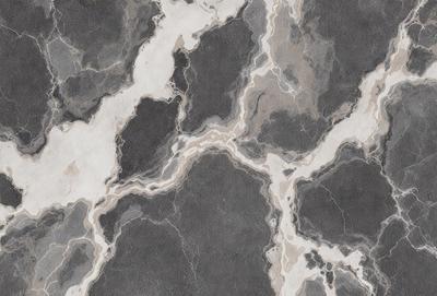 The image features a patterned marble wall with a mix of black and white colors. The wall is adorned with a series of circles, which are arranged in a visually appealing manner. The overall atmosphere of the image is elegant and sophisticated, with the marble wall serving as a striking backdrop for the circles.