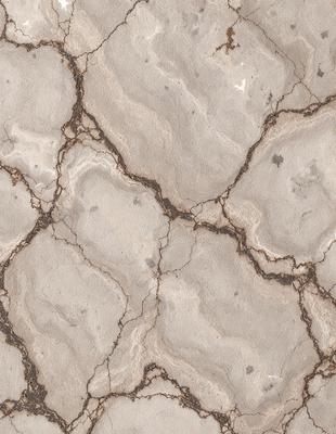 The image features a close-up of a cracked, textured surface with a mix of brown and white colors. The primary subject is the cracked surface, which appears to be a stone or concrete material. The setting is an outdoor environment, possibly a sidewalk or a building exterior. The visual style is a close-up, which emphasizes the details of the cracked surface. The colors and mood of the image are somewhat dark and moody, with the brown and white tones creating a sense of age and wear.