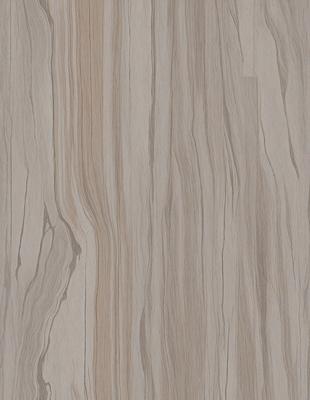 The primary subject of the image is a wooden floor with a unique and intricate pattern. The setting is a room with a wooden surface, possibly a table or a floor. The visual style of the image is a close-up of the wooden floor, showcasing its texture and details. The colors and mood of the image are warm and natural, with the wooden floor being the main focus.