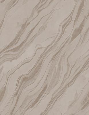 The primary subject of the image is a patterned tile, which is the main object, scene, or focus of the image. The setting or background of the image is a wall, and the visual style appears to be a photo. The colors and mood of the image are predominantly brown and gray, creating a neutral and earthy atmosphere.