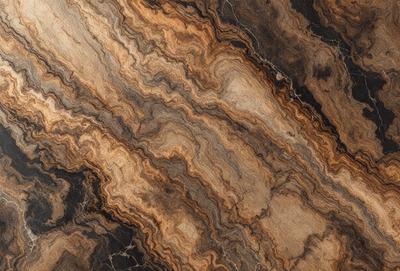 The primary subject of the image is a marble slab with a unique and intricate pattern. The setting is a natural environment, possibly a stone or rock formation. The visual style is a close-up of the marble slab, showcasing its texture and details. The colors and mood of the image are predominantly earthy tones, giving it a natural and organic feel.